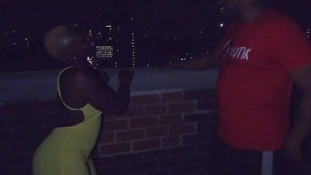 Hardcore rooftop banging with chocolate babe in NYC