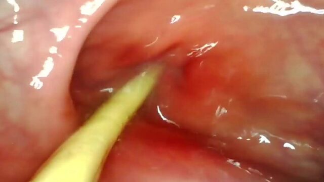 POV Ass fuck, My Raging Hard-On Drills Deep, Blasts Jizz Right In Her Guts