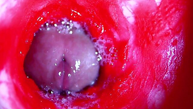 Wet Pussy ASMR: Up Close and Personal Cunt Sounds