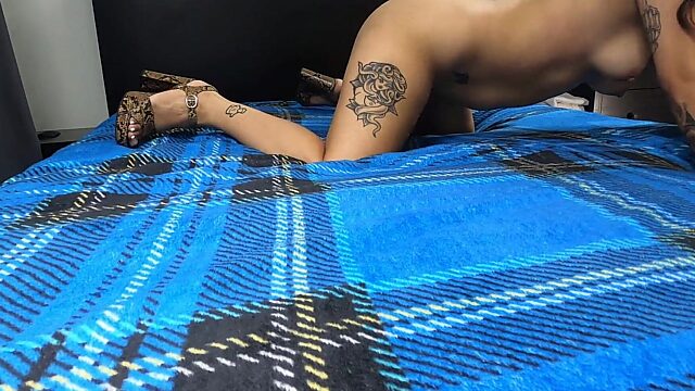 Busty Amateur Aleksa Fucks Her Way Through Casting Couch Round 4